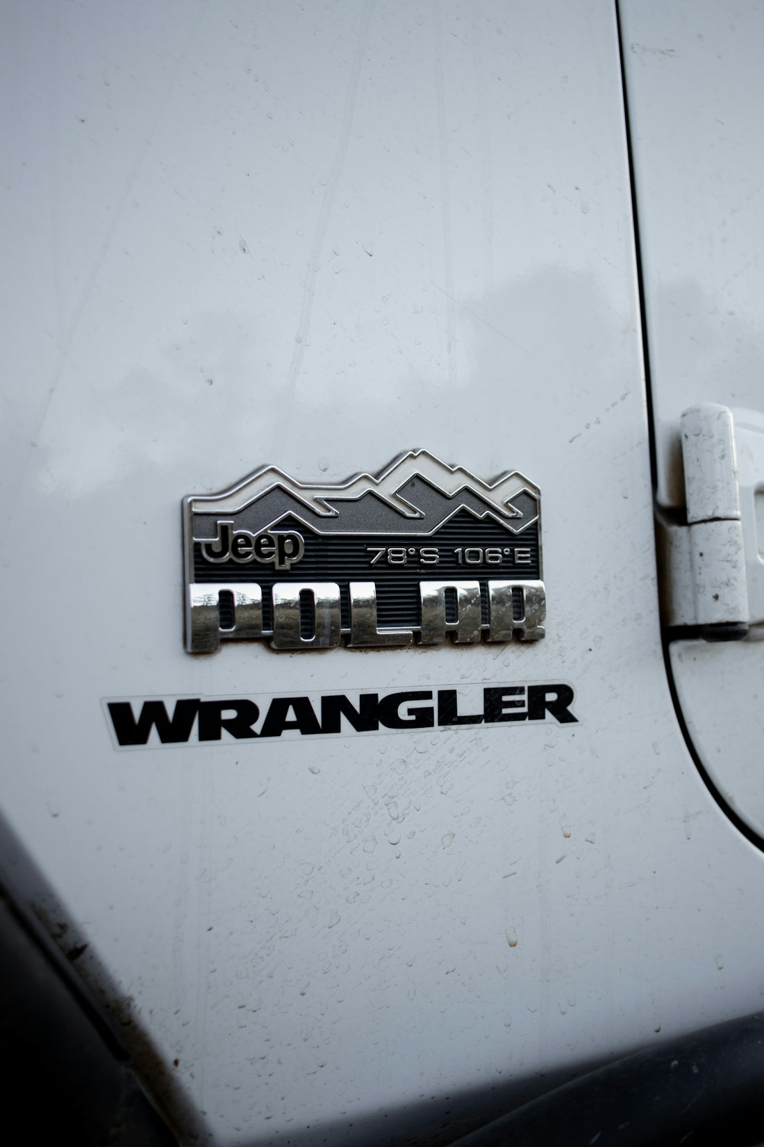 a close up of the wrangler emblem on a white truck
