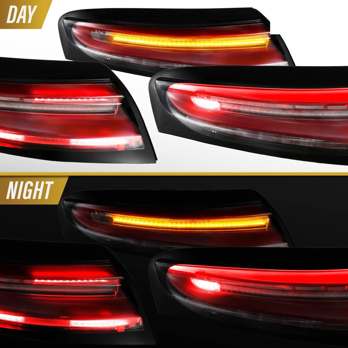 Day and night view