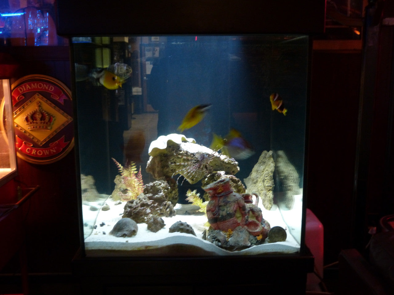 Xtreme LED Rock Lights 4 Piece Set Lighting